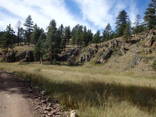 GDMBR: Cycling north on NF-28, La Jolla Canyon, Gila NF, NM.